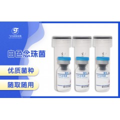 白色念珠菌