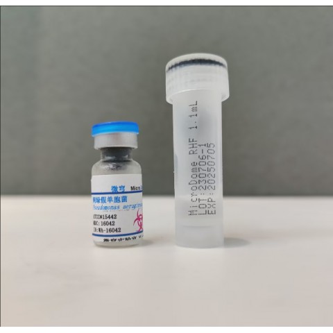 铜绿假单胞菌